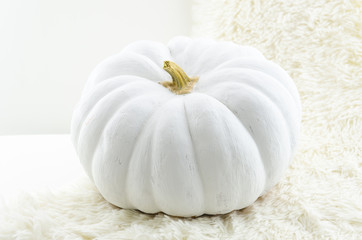 White pumpkin. Art background for Halloween concept, with soft focus and shallow depth of field composition. Hand lettering mockup