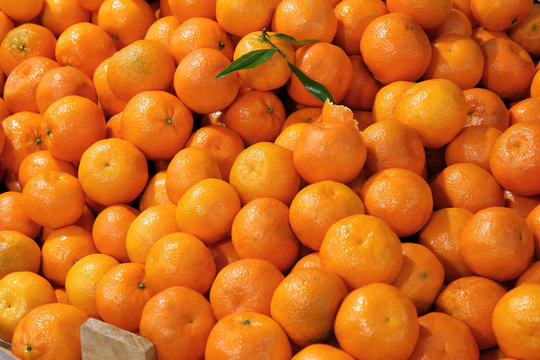 Fresh tangerines on display in the grocery store