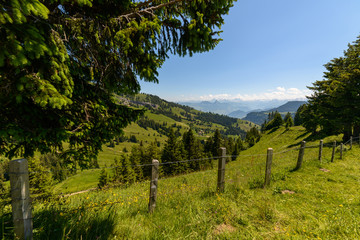 Alpine view of Rigi mountain range on a clear summer day