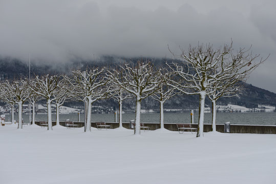 Winter view on Cham village town city promenade embankment  shore on Lake Zug in Central Switzerland just after strong snowfall