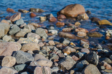 Baltic sea coast nature outdoor day scene
