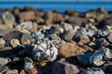 Baltic sea coast nature outdoor day scene