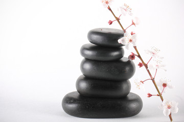 камни массажные лежат на белом фоне 