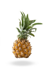 pineapple on isolated