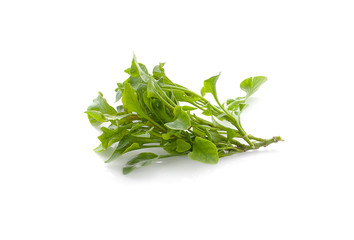 watercress isolated on white background