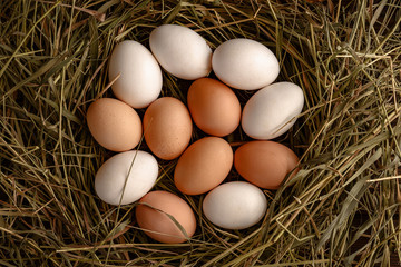 Top view of fresh eggs white and brown on straw