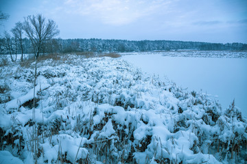 Beautiful rural winter landscape. Frozen brook  covered with snow