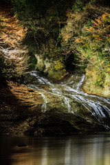 秋の養老渓谷のライトアップされた粟又の滝の風景