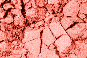 A broken colored in color of year 2019 Living Coral eye shadow make up palette. flat lay. Copy space for your text. Creative fashion and beauty living coral concept. 16-1546