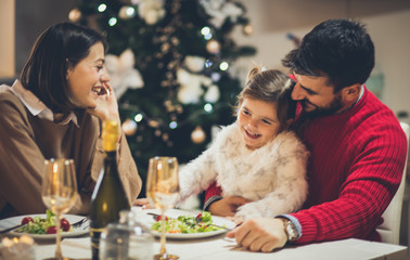 Happiness when the family is together for Christmas.