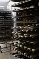 Backbleche voll mit Brötchen Rohlingen warten aufs backen in der Bäckerei - Variante 3