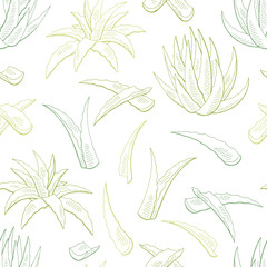 Aloe vera graphic color seamless pattern background sketch illustration vector - obrazy, fototapety, plakaty