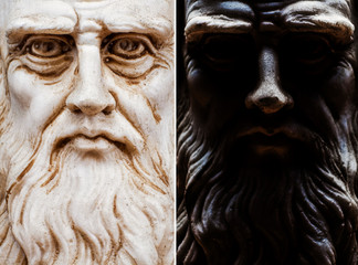 Leonardo da Vinci frontal view entire face collection