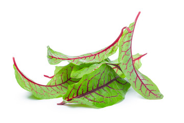 fresh beet leaf isolated on white background