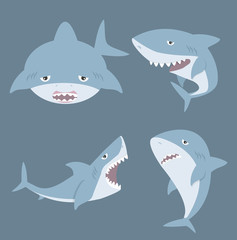 Cute Shark cartoon set