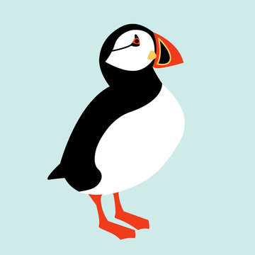 recommend clip art: Icelandic Puffin bird icon