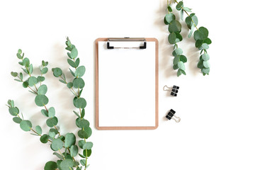 Clipboard, paper clips and eucalyptus branches on a white background