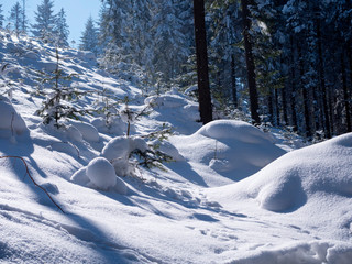 Fototapeta na wymiar Malowniczy zimowy pejzaże górskich krajobrazów w słonecznym świetl