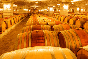 Wine barrels stacked in the cellar of the winery.
