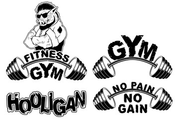 Vector set design for a gym with an abstract image of a strong wild boar.