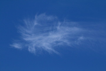 A white wispy cloud against a beautiful blue sky.