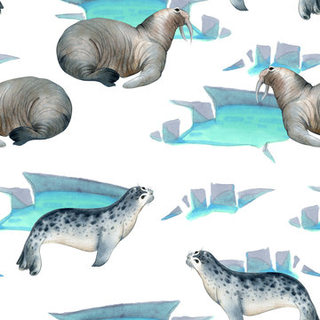 Seamless watercolor pattern about north fauna. Ice and sea animal. warlus and seal on snow