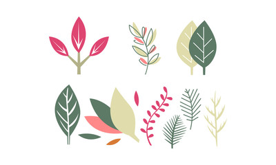 Flat vector set of leaves of different plants. Natural decorative elements. Flora theme