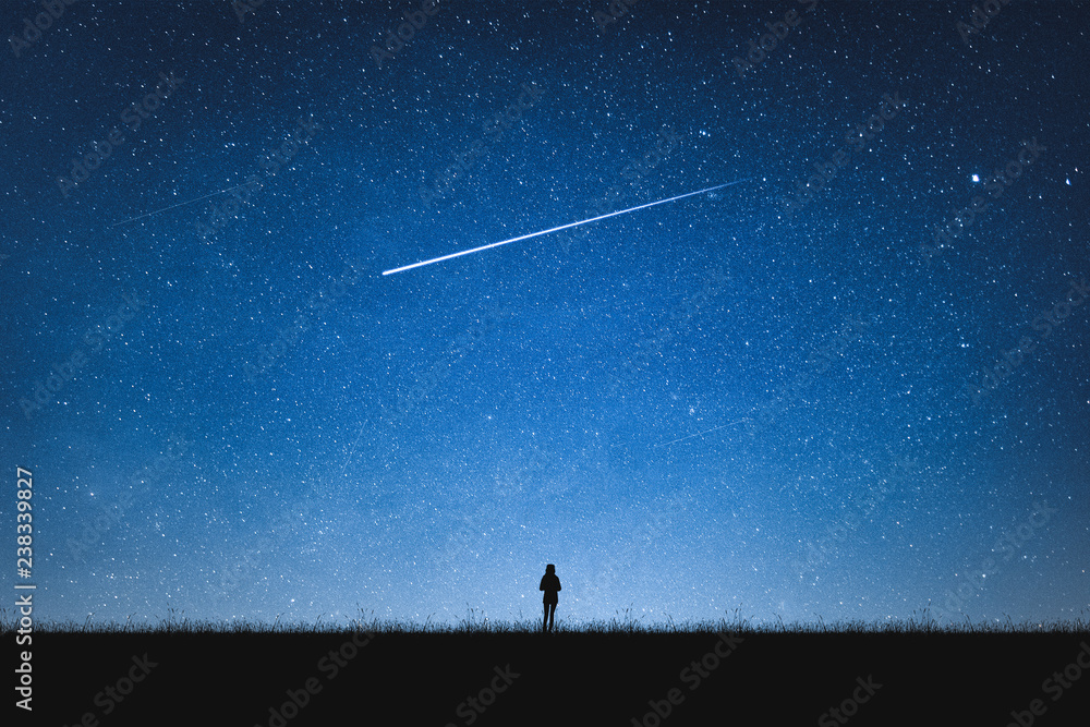 Wall mural silhouette of girl standing on mountain and night sky with shooting star. alone concept.