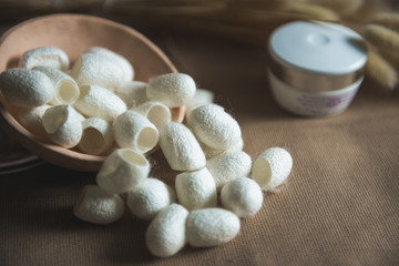 silkworm cocoon in cosmetology. Cocoon White