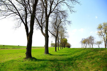 Landscape near Zamość in Poland.