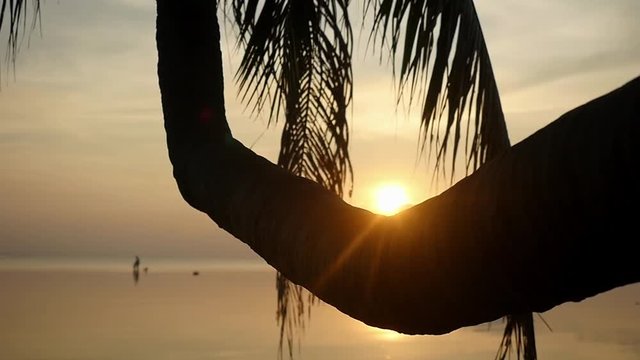 Golden evening sun shining on paradise island through the pulm tree on the beach during amazing sunset. slow motion. 1920x1080