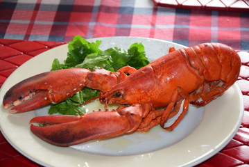 Cooked lobster