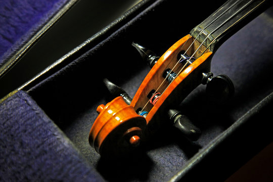 Old violin