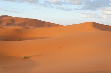 Fototapeta na wymiar Wüste Erg Chebbi, Merzouga, Marokko, Afrika