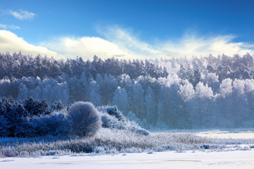 zima nad jeziorem Kielarskim