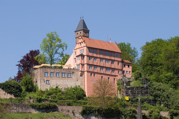 Burg Hirschhorn am Neckar