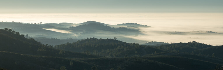 Nevoeiro nas montanhas