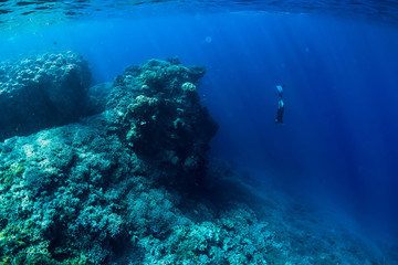 Naklejka na ściany i meble Free diver dive in ocean, underwater view with rocks and corals