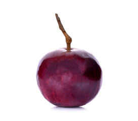 Cainito on white background