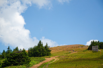 Picturesque landscape of a hill in summer - Kopaonik, Serbia