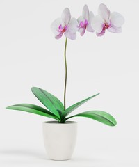 Naklejka na ściany i meble Realistic 3D Render of Orchid Flower