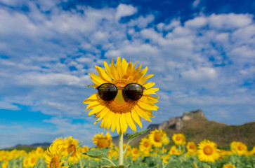 Sunflower wearing sunglasses and smile.