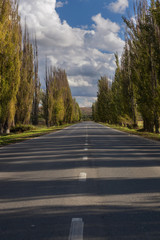 Fototapeta premium An autumn road in eastern Crimea