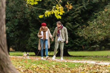 Junges Paar geht mit dem Hund im Herbst Wald spazieren