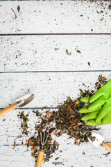 Rubber green safety gloves hand shovel and gardening rake on wooden board agriculture concept.