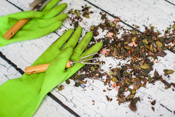 Rubber green safety gloves hand shovel and gardening rake on wooden board agriculture concept.