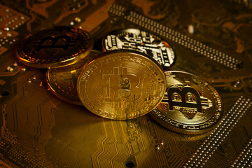 Fototapeta na wymiar Bitcoin gold coins lie on the motherboard
