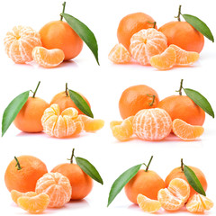 Mandarin fruit on white background