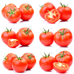 Tomatoes on a white background