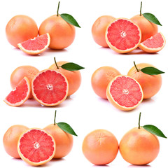 Grapefruit on white background